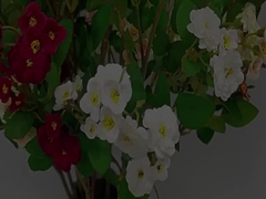 Simulatie van rozenbloemen Kruisgrens Meerdere koppen Simulatie van bloemen Kunstmatige boeket Bruiloftsversiering