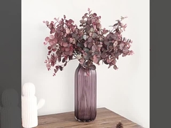 De Keisen serie geld Leaf home desktop is een simulatie plant van Japanse herfst eucalyptus bladeren