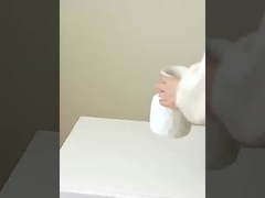 Simulatie van 8 kleine persimmons, imitatie van echte en nep persimmons, huisversiering, bruiloft, s