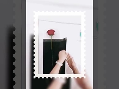 Godin enkelvoudige kleine boeket verpakking transparante opp waterdichte film ingepakt bloemen papier diy mate