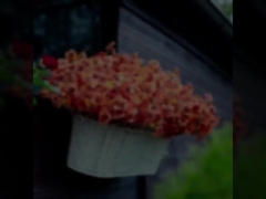 Outdoor festival decoraties, herfstplanten, kunstmatige eucalyptus bladeren, eucalyptus viooltjes, madeliezen