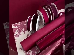 2024 Ankela Rood Element