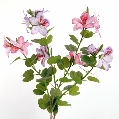 Goede prijs. Chinese Redbud Kunststof kunstmatige Bauhinia bloem voor huis- en hotelversiering online