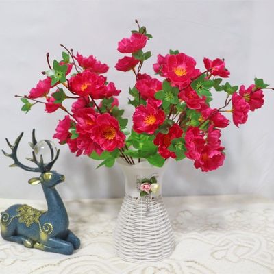 kopen Huwelijk, foto's maken, binnen- en buitenversiering met realistische perzikbloesems online vervaardiging