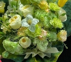 kopen Kleine Prins voor de lente-serie Bloemenverpakkingspapier online manufacture