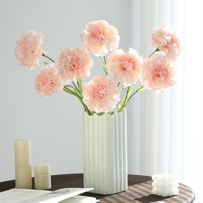 Goede prijs. Simulatie van bloemen, anjerboeketten, gedroogde bloemen, familievakanties, decoratie van de woonkamer, eettafel, fotorequisiten, ornamenten, nepbloemen online