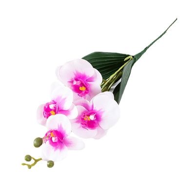 Goede prijs. De simulatie bloem vierkop Phalaenopsis thuis zachte decoratie kleine tak Phalaenopsis decoratie 3d lijm touch kunstmatige bloem verkoopt goed over de grenzen online