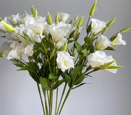 kopen 3 stuks gesimuleerde Campanula bloemen, huisversiering ornamenten, zijde bloemen, fotografie rekwisieten, bruiloft route gidsen, landschappen, nep bloemenboeketten online vervaardiging