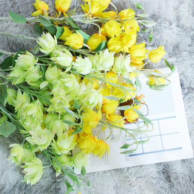 Goede prijs. Nordic high-end simulatie bloemen, windklokken, zijde bloemen, nep bloemen, huishoudelijk meubilair, homestays, woonkamers, bureaublad bloemenarrangementen, zijde bloemen, bruiloft decoraties online