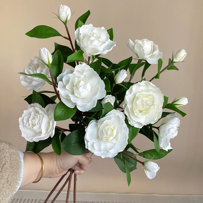 Goede prijs. kunstgronden, eettafel, woonkamer, slaapkamer, boeketten voor de inrichting van het huis, kunstbloemen, foto- en fotobehoeften online