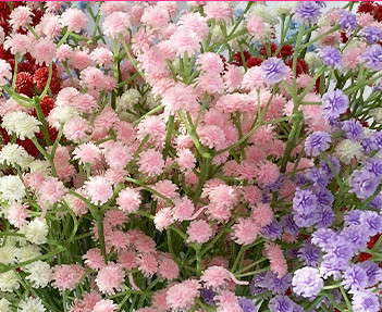 Goede prijs. De zachte Zelfklevende Valse Muur plant Diverse Kleuren voor Huisdecoratie online
