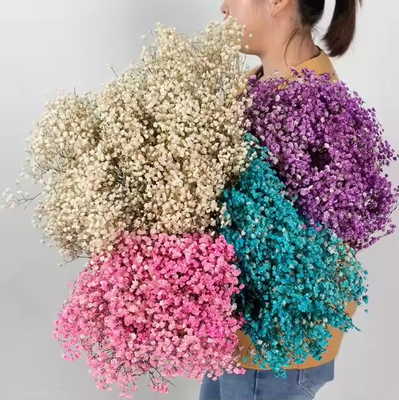 Goede prijs. 100 g gedroogde bloemen kunstmatige boeket baby adem Gypsophila bloemen bruiloft decor middelpunt online