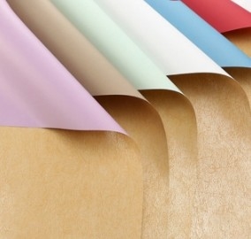 Goede prijs. Cynthia Paper Pullman Bloemenverpakkingspapier online