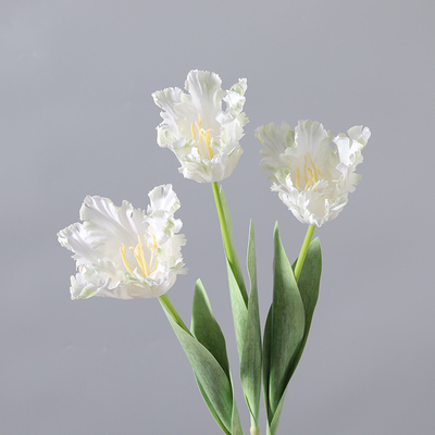 Goede prijs. Home meubels, kunstmatige bloemenboeketten, studio foto's rekwisieten, 5 dubbelblaadjes tulpen online