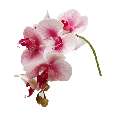Plastic simulatie 3D vlinder orchidee bruiloft decoratie, bloemblaadjes rekwisieten, nep bloemen, kleine bloembanden, vlinder orchidee simulatie bloemen