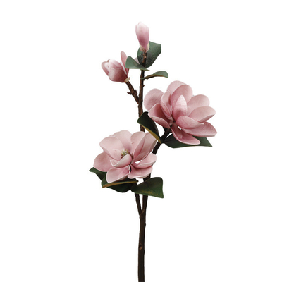 Goede prijs. Grensoverschrijdende simulatie EVA-schuim magnolia huishoudelijk interieur valse bloemen decoraties touch magnolia simulatie bloem online