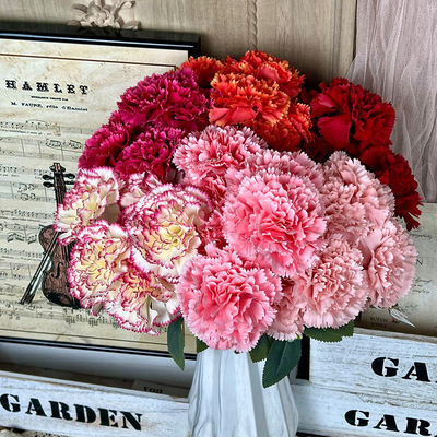 Goede prijs. kunstmatige bloemen van anjer, kunstmatige plastic bloemen, hoogwaardige woonkamerversieringen, eindproducten van bruiloftsbloemenkunst online
