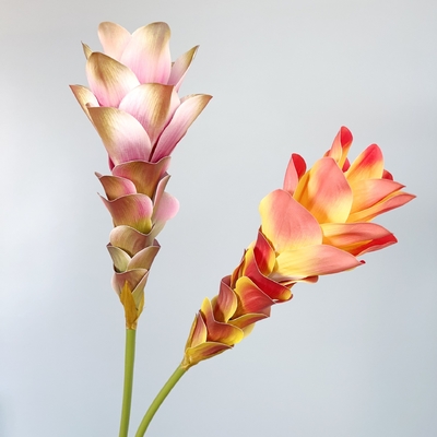 Goede prijs. Simulatie van bloemen, gemberbloemen, lotusbloemen, 3D-printen, textuurbloemen, huisversiering, modelkamerversiering, bruiloftsvoorwerpen, boeket online