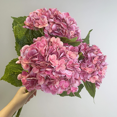 Goede prijs. Biomimetische hortensia bloemen, gesimuleerde bloemen, hydraterende aanraking, hortensia boeketten, decoraties voor de eetkamer, bruiloftsbloemen online