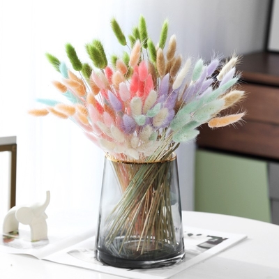 Goede prijs. Ins website rood bloembouquet eeuwig leven bloem huis woonkamer decoratie ornament konijn staart gras hond staart gras gedroogde bloem online