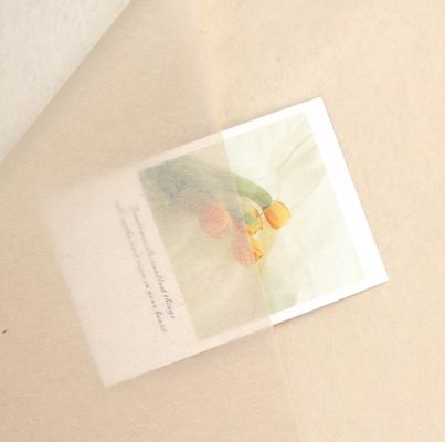 Goede prijs. Effortlessly Elegant Korean-Style Copy Paper for Flower Wrapping and Gift Packaging online