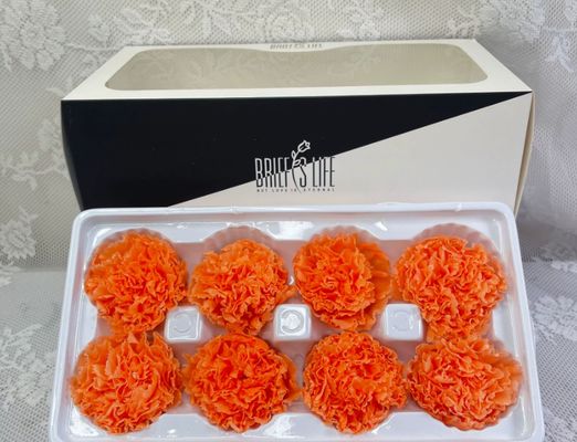 Goede prijs. Eeuwige anjer bloempjes, 8 stukken DIY materialen Groothandel, Premium cadeau voor Moederdag, Rose gedroogde bloemen boeket online